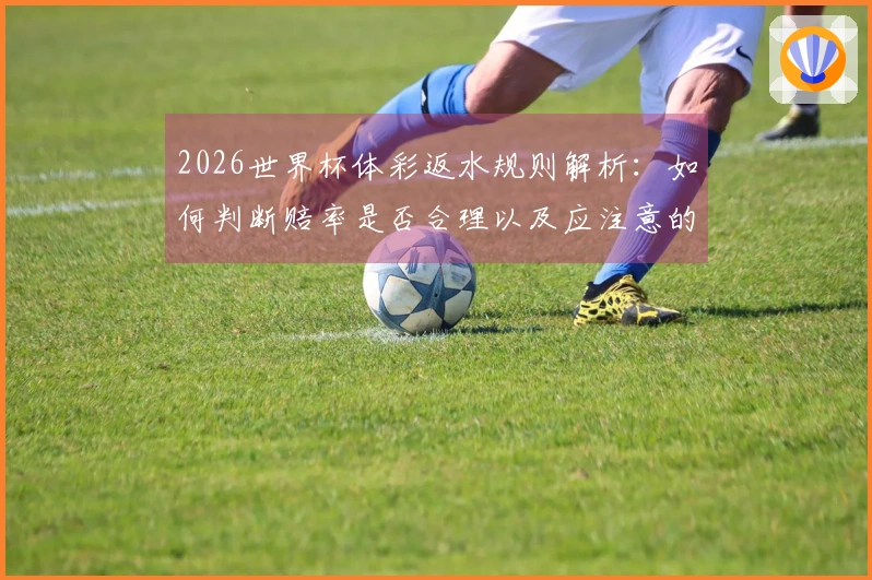 2026世界杯体彩返水规则解析：如何判断赔率是否合理以及应注意的细节