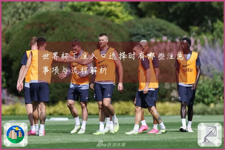 世界杯下注入口选择时有哪些注意事项与流程解析